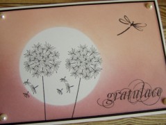 Přáníčko (č. 120)