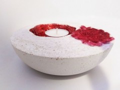 Kočička s lišejníkem