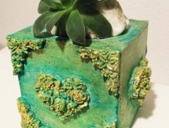 Kočička s lišejníkem