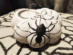 Kočička s lišejníkem