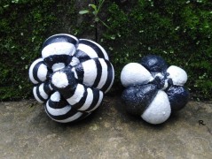 Kočička s lišejníkem