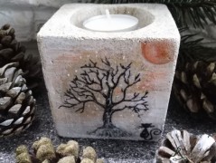 Kočička s lišejníkem