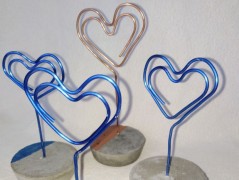 Kočička s lišejníkem