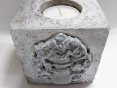 Kočička s lišejníkem