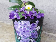 Kočička s lišejníkem