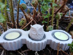 Kočička s lišejníkem