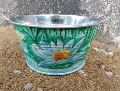 Kočička s lišejníkem