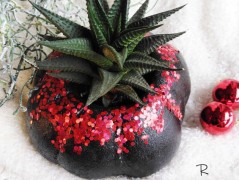 Kočička s lišejníkem