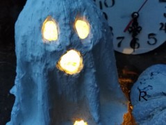 Kočička s lišejníkem