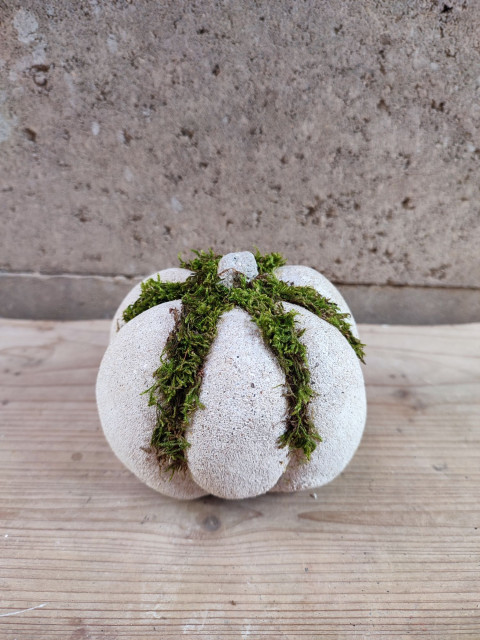 Betonová dýně se sušeným mechem dekorace podzim dýně přírodní dušičky mech halloween sušený 