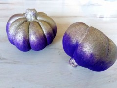 Kočička s lišejníkem