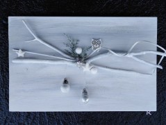 Kočička s lišejníkem