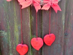 Kočička s lišejníkem