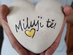 Kočička s lišejníkem