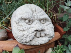 Kočička s lišejníkem