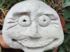 Kočička s lišejníkem