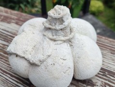 Kočička s lišejníkem