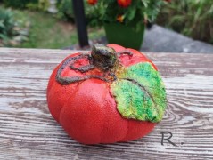 Kočička s lišejníkem