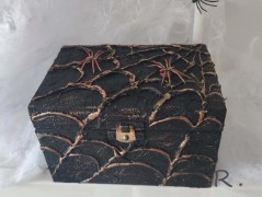 Kočička s lišejníkem