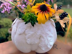 Kočička s lišejníkem