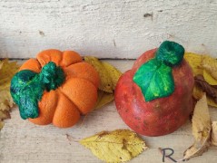 Kočička s lišejníkem