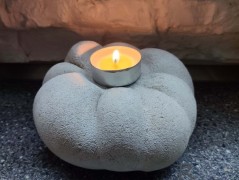 Kočička s lišejníkem