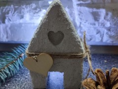 Kočička s lišejníkem