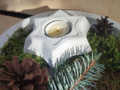 Kočička s lišejníkem