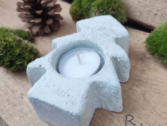 Kočička s lišejníkem