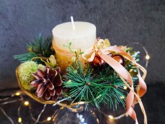 Kočička s lišejníkem