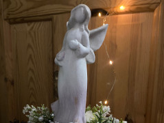 Kočička s lišejníkem