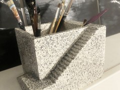 Kočička s lišejníkem