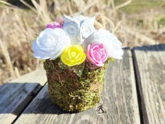 Kočička s lišejníkem