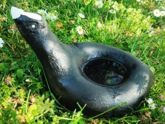 Kočička s lišejníkem