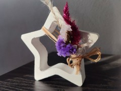 Kočička s lišejníkem