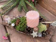 Kočička s lišejníkem