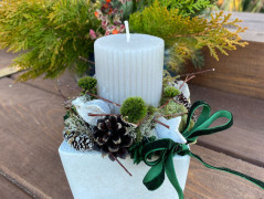 Kočička s lišejníkem