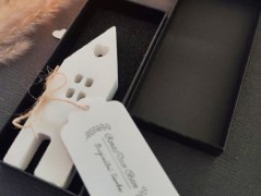 Kočička s lišejníkem