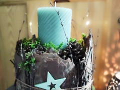 Kočička s lišejníkem