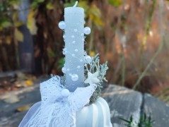 Kočička s lišejníkem