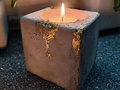 Kočička s lišejníkem