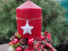 Kočička s lišejníkem