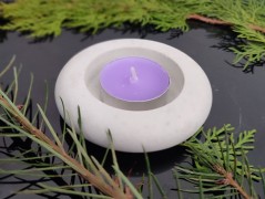 Kočička s lišejníkem