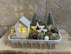 Kočička s lišejníkem