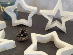 Kočička s lišejníkem