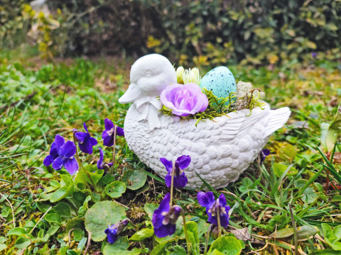 Velikonoční kachnička dekorace pestrobarevné fialová jarní bílá květiny veselé žlutá velikonoce velikonoční kachnička aranžmá 