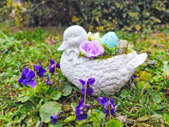 Kočička s lišejníkem