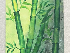 Kočička s lišejníkem