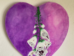 Kočička s lišejníkem