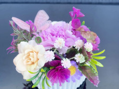 Kočička s lišejníkem